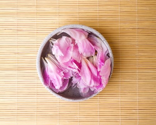 Top View of Beautiful Rose Flower Petals in Water in small bowl on wooden asian background. Spa Concept. Selective focus.